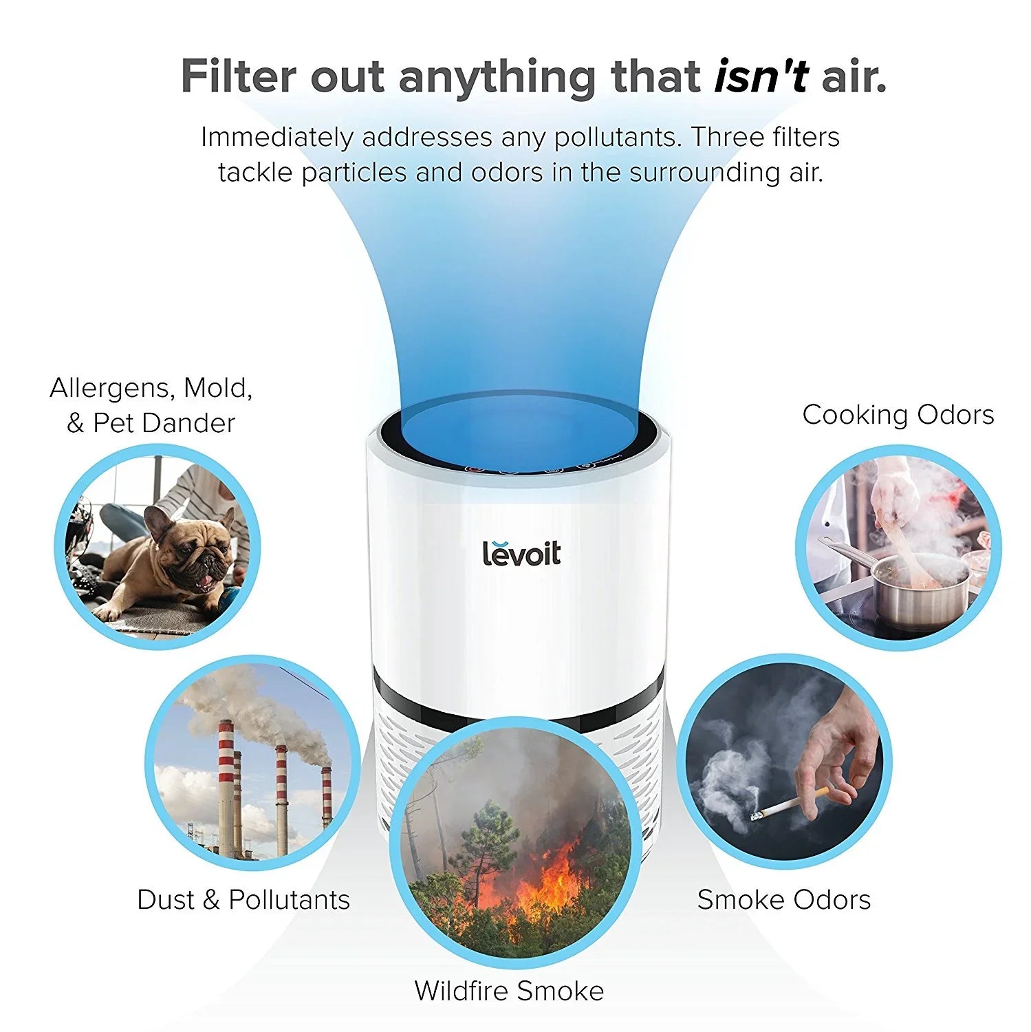 Filter with for LEVOIT Hepa Air More and Purifier LV-H132 Smoke, Bacteria, True