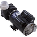 XP2, OEM 2", 2.5ohp/4.0thp, 2-Speed, Aqua Pump, Flo 48fr, 230v,