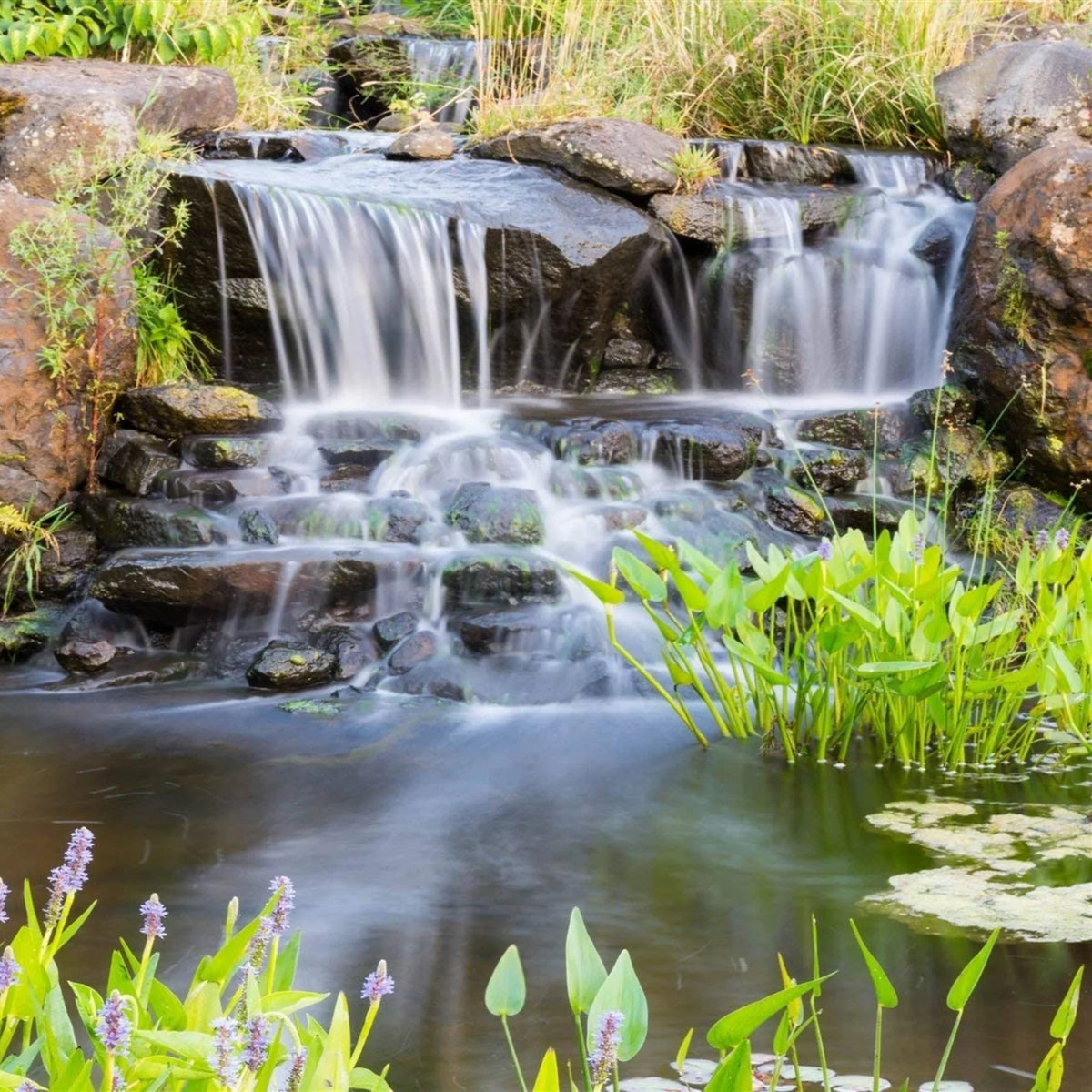 HALF Drive 5,500 - OFF Water Ponds Direct Pump PN-5500 for Submersible Waterfalls and Gardens, Piranha GPH Series PONDS