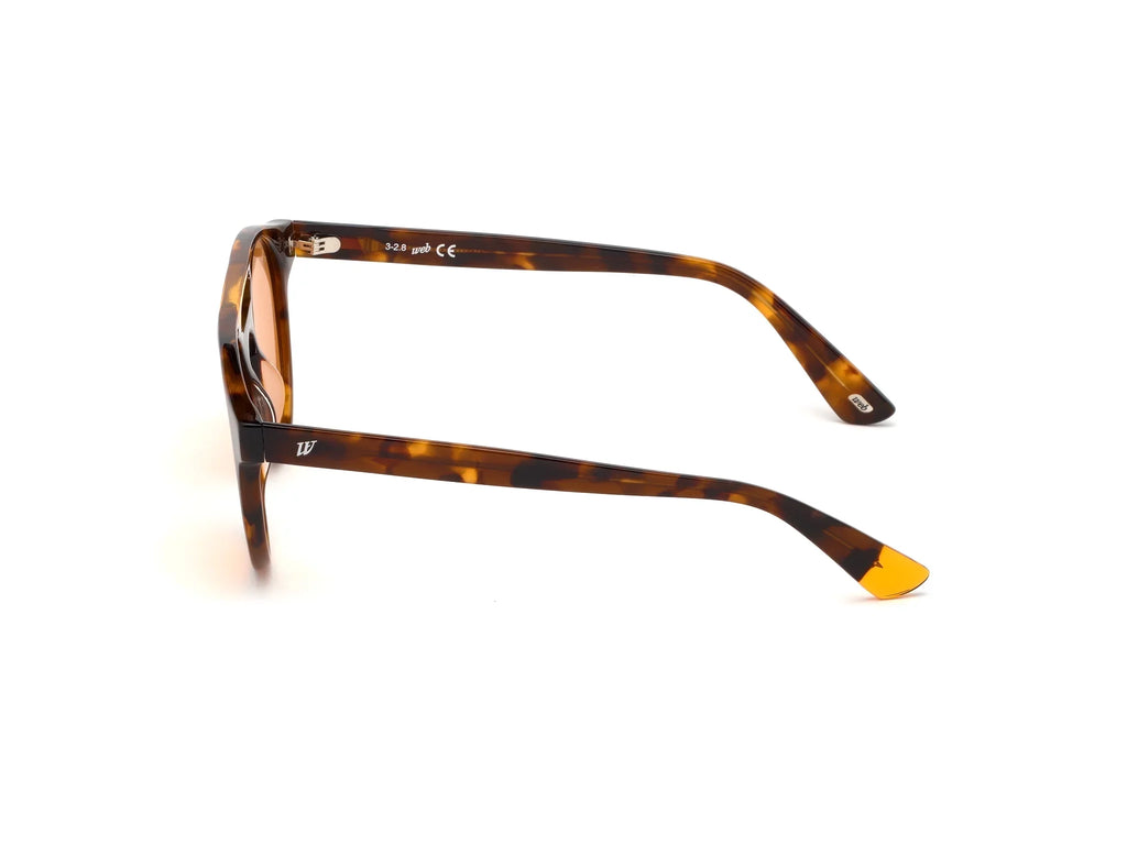 sunglasses WE0262 UNISEX 51/19/145 56J Web HAVANA