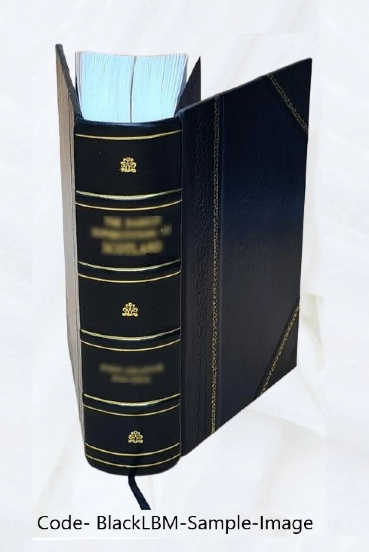 Assassination Investigation on Commission President's the [Leather the assassination the President of Volume v.22 : F. 1964 John of before Bound] of Kennedy President hearings Kennedy.