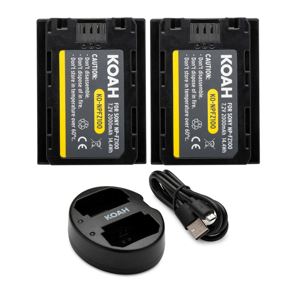 APS-C Mirrorless Sony a6600 Accessories Bundle (Body Only) Alpha with Camera
