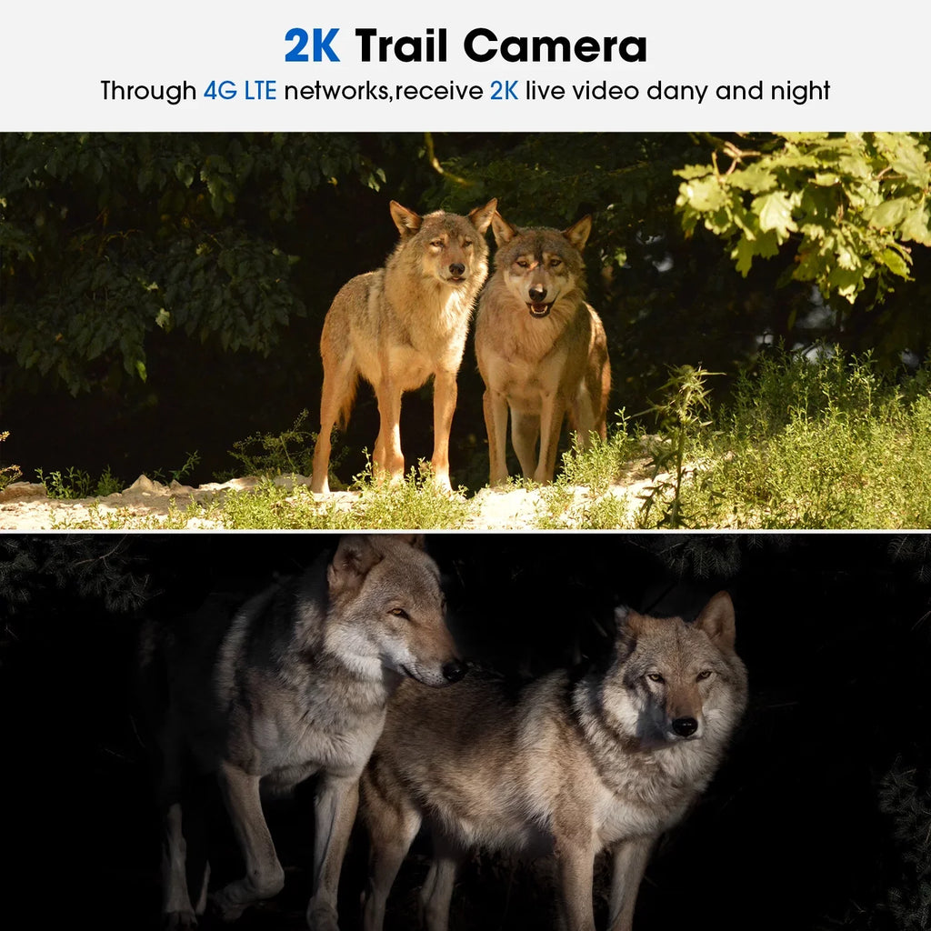 Trail PIR Motion, Vision, 360°Pan Cellular Storage, View, Wireless Card 2K 90°Tilt, with WiFi LTE, Camera &SD with No 4G Night Solar Waterproof, Cloud Live Cam Hunting CAMPARK SIM Camera Game Security