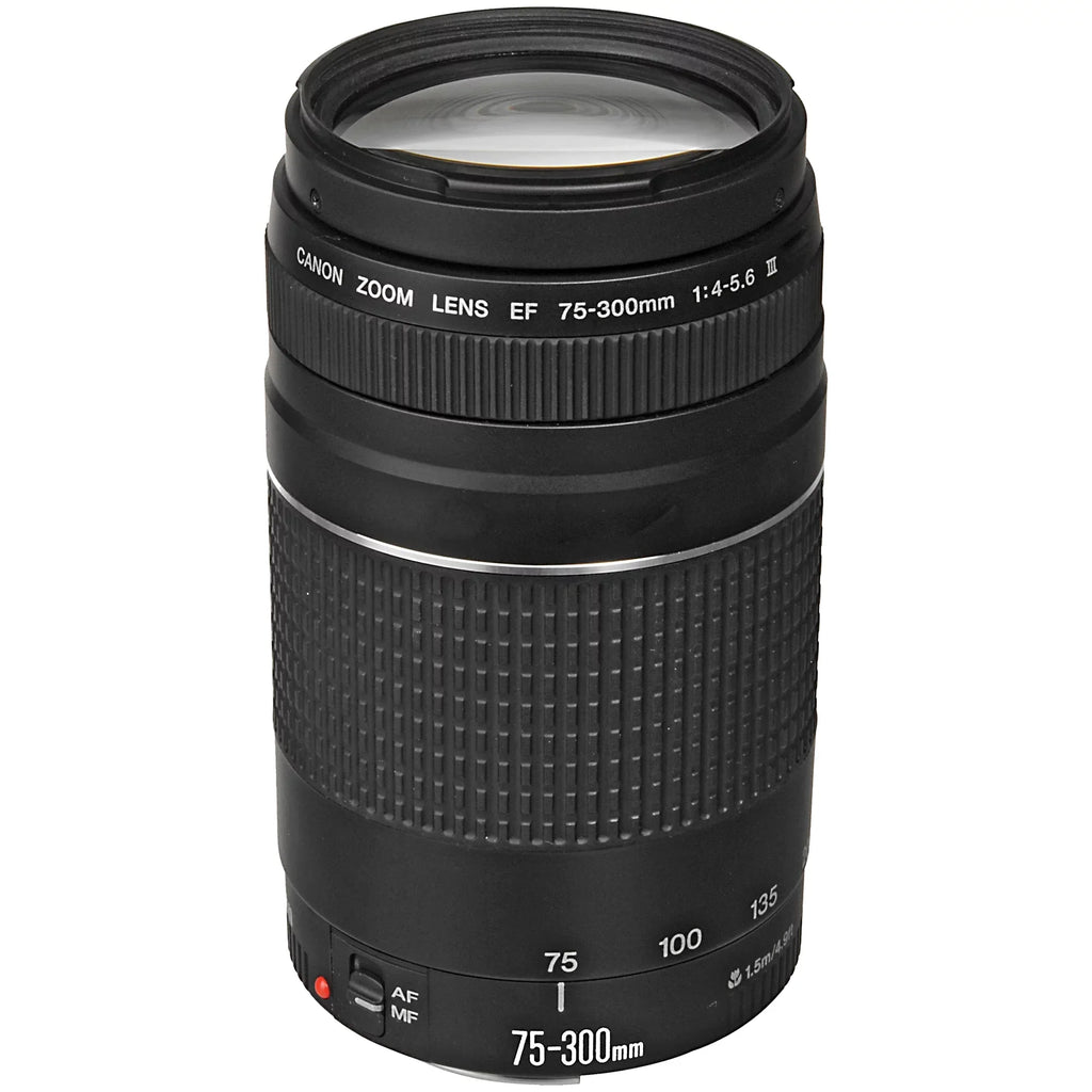 24-105mm Card EOS + Camera Accessory + Lens Digital Case RF + SanDisk + R6 75-300mm 128GB ZeeTech Mirrorless Canon STM with