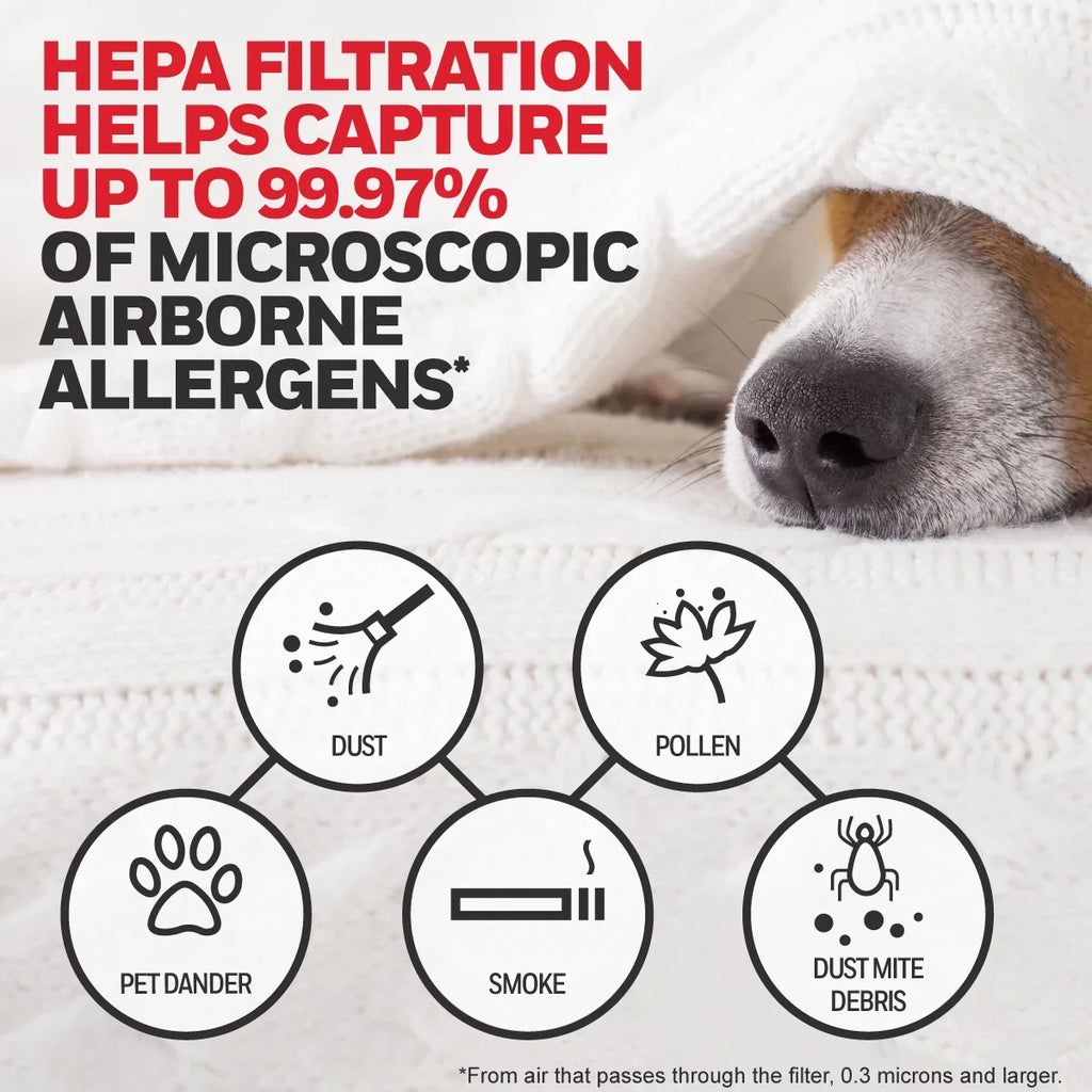 HRF-ARVP100 Pack, and R Value Pre-Filter A Filter Honeywell