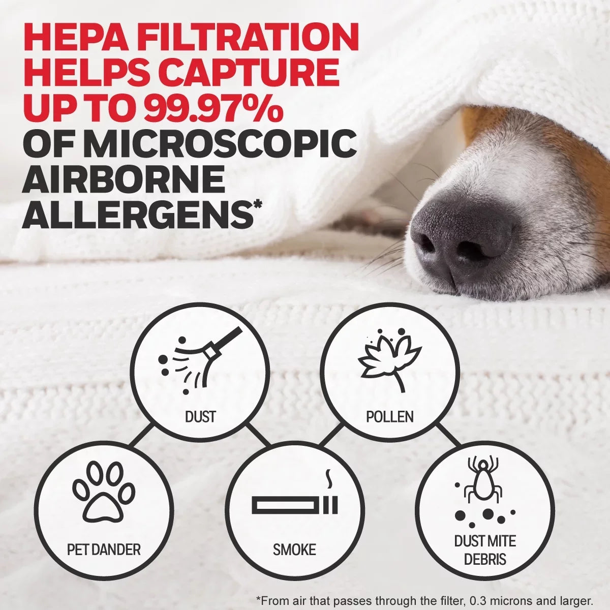 HRF-ARVP100 Pack, and R Value Pre-Filter A Filter Honeywell