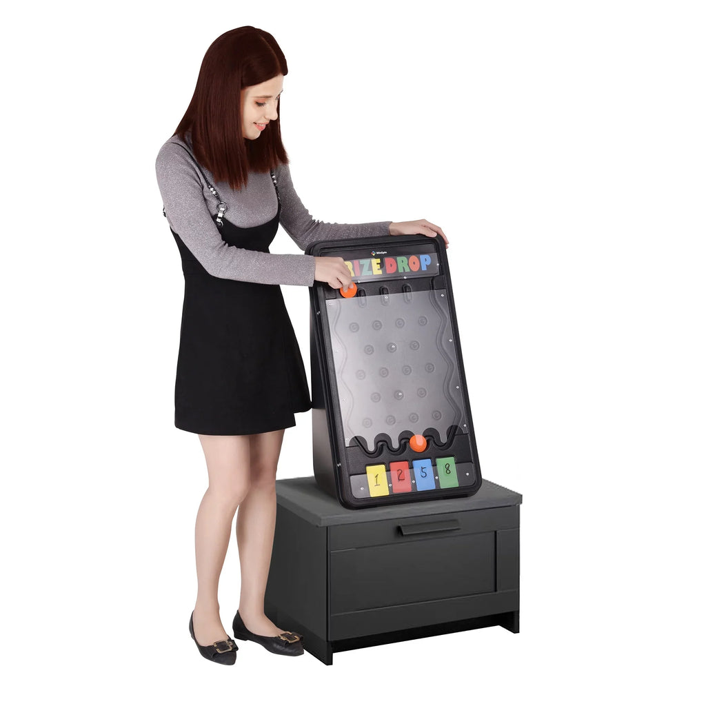 Tradeshow Prize WinSpin Drop Disk 25" Board Home Pucks w/20 Game Drop