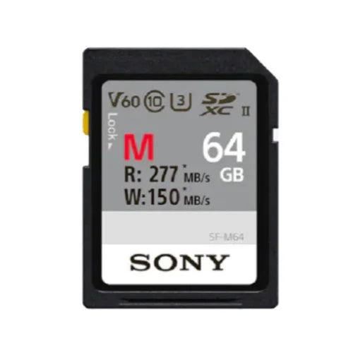 APS-C Mirrorless Sony a6600 Accessories Bundle (Body Only) Alpha with Camera