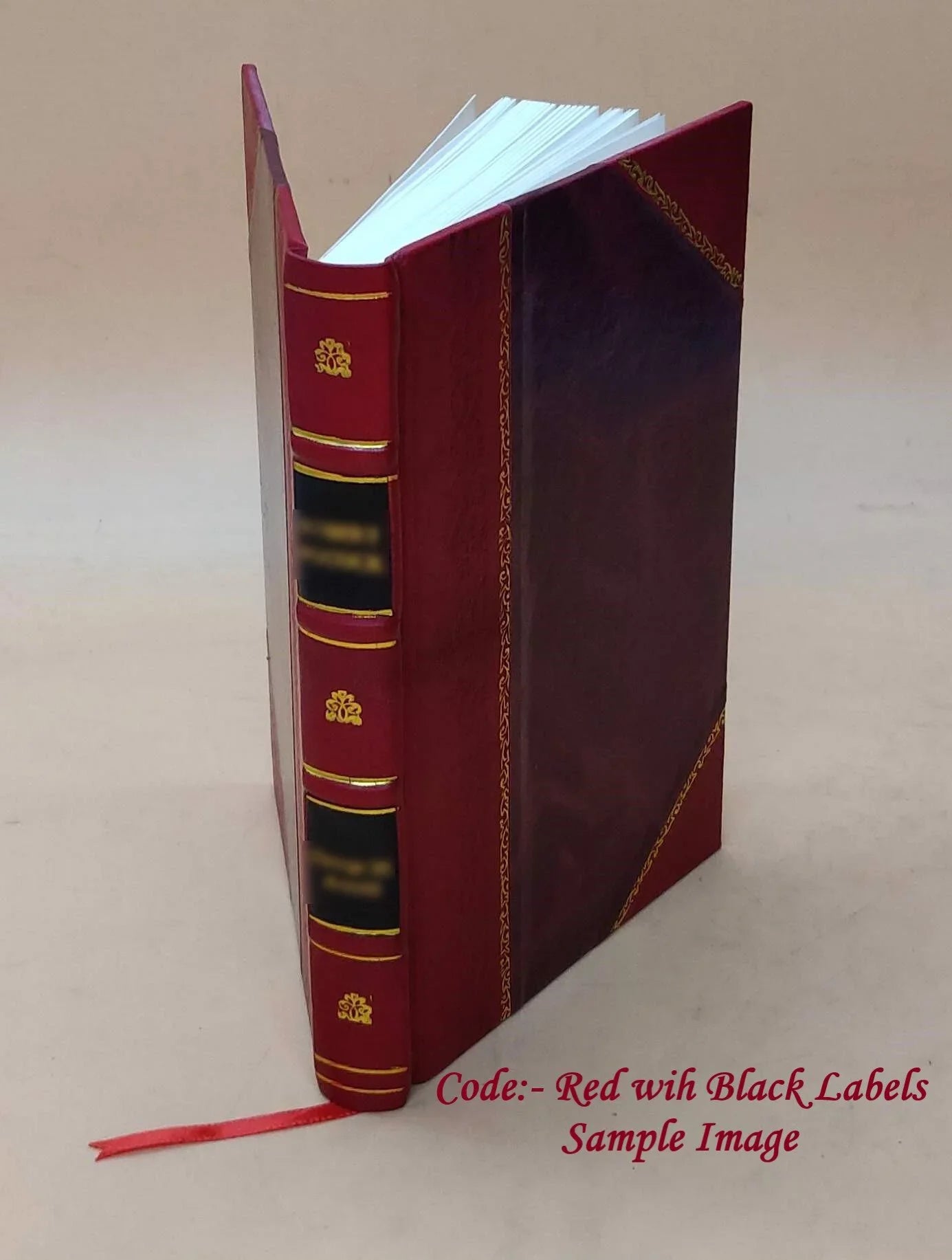and 1917 [LEATHER Sights 1917 Volume BOUND] Insights