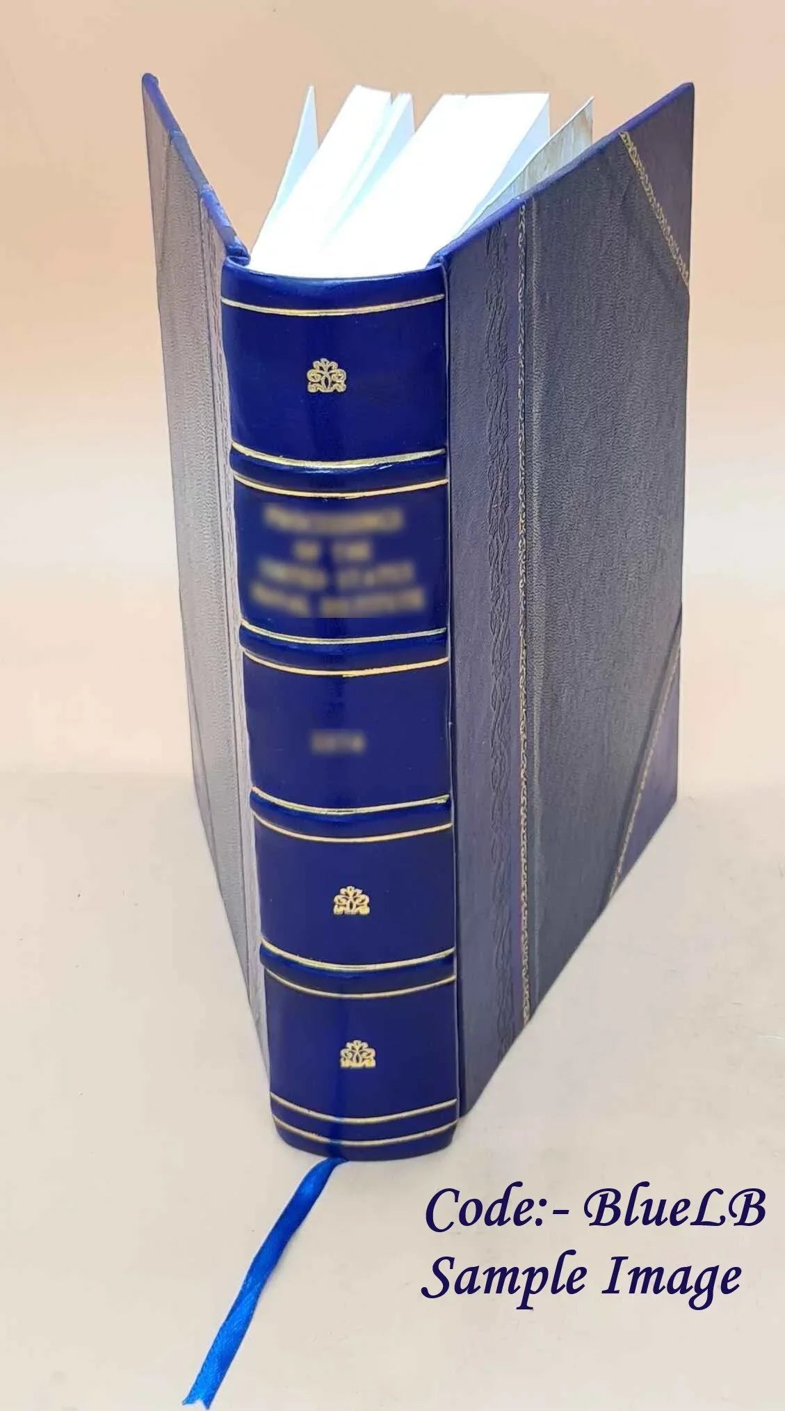 and 1917 [LEATHER Sights 1917 Volume BOUND] Insights
