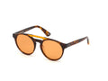 sunglasses WE0262 UNISEX 51/19/145 56J Web HAVANA