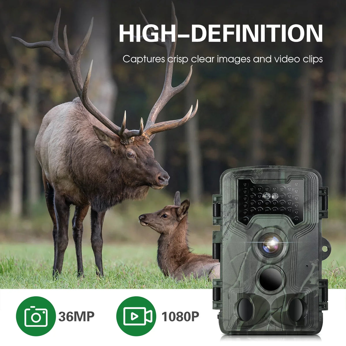 Vision Wildlife Waterproof 36MP Game Night Camera, Camera 1080P for Trail and Researching
