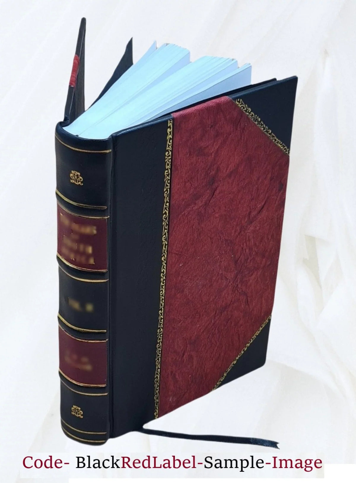 the ago buccaneers America others the who two Captain 1874 and and seas, hundred of islands, the [Leather Kidd, Bound] William the of ravaged years pirates continents or