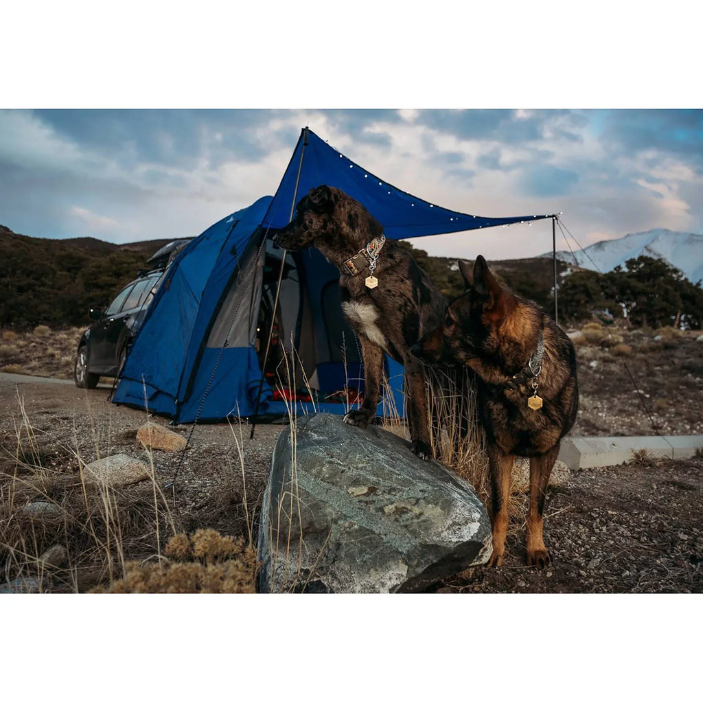 Awning with SUV Camping Sportz Cargo Universal Person 4 Tent Dome-To-Go Napier
