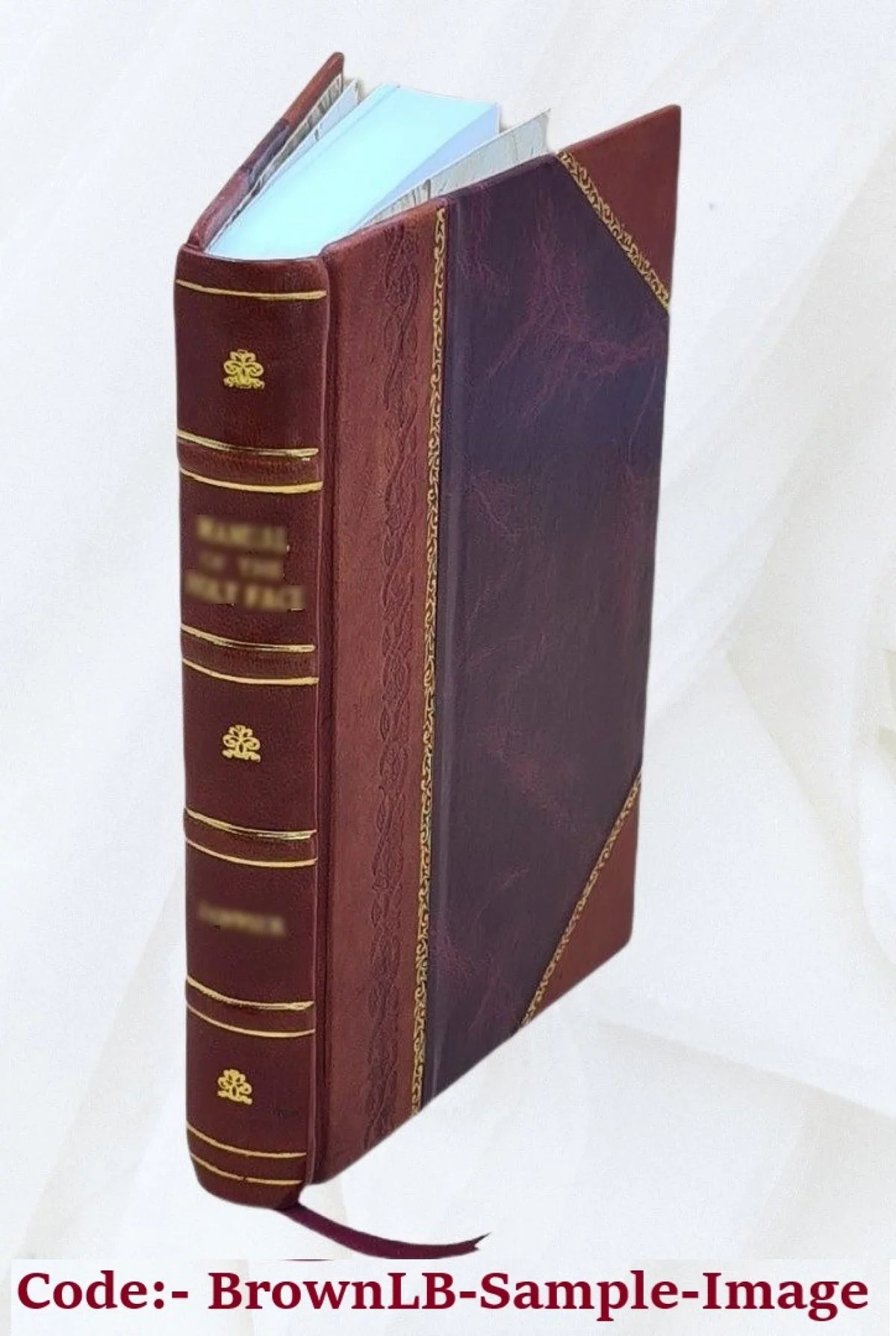 et 1863 Bound] Amadas [Leather d'aventures poeme Ydoine:
