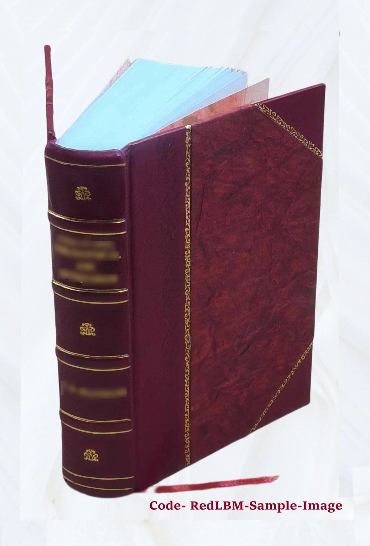literature the and cry for justice; of of aga who writings protest; the the have philosophers, novelists, social of anthology reformers, struggle an others The poets, social voiced