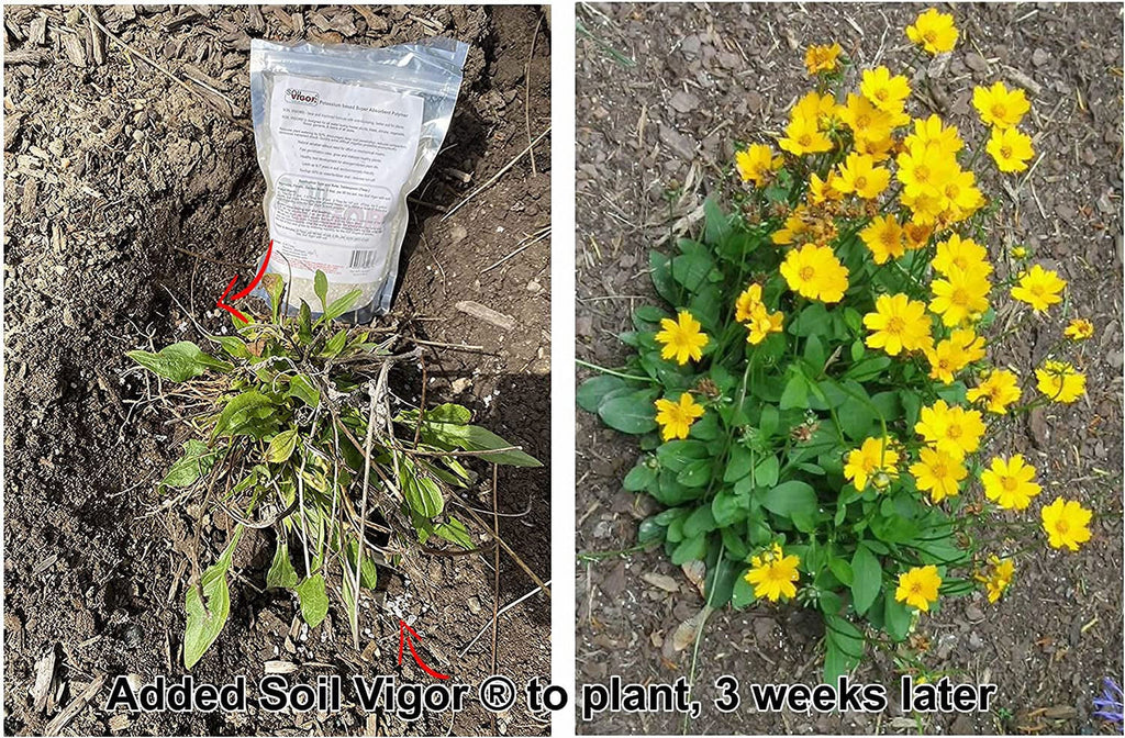 and 45 Pounds Keep Polyacrylate Soil Plant Potassium Regulate for The Moisture ph of