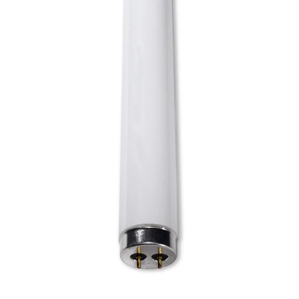 Light 30 F34CW/RS/EW/ALTO Bulb Replacement Replacement Philips Pieces for Lamp