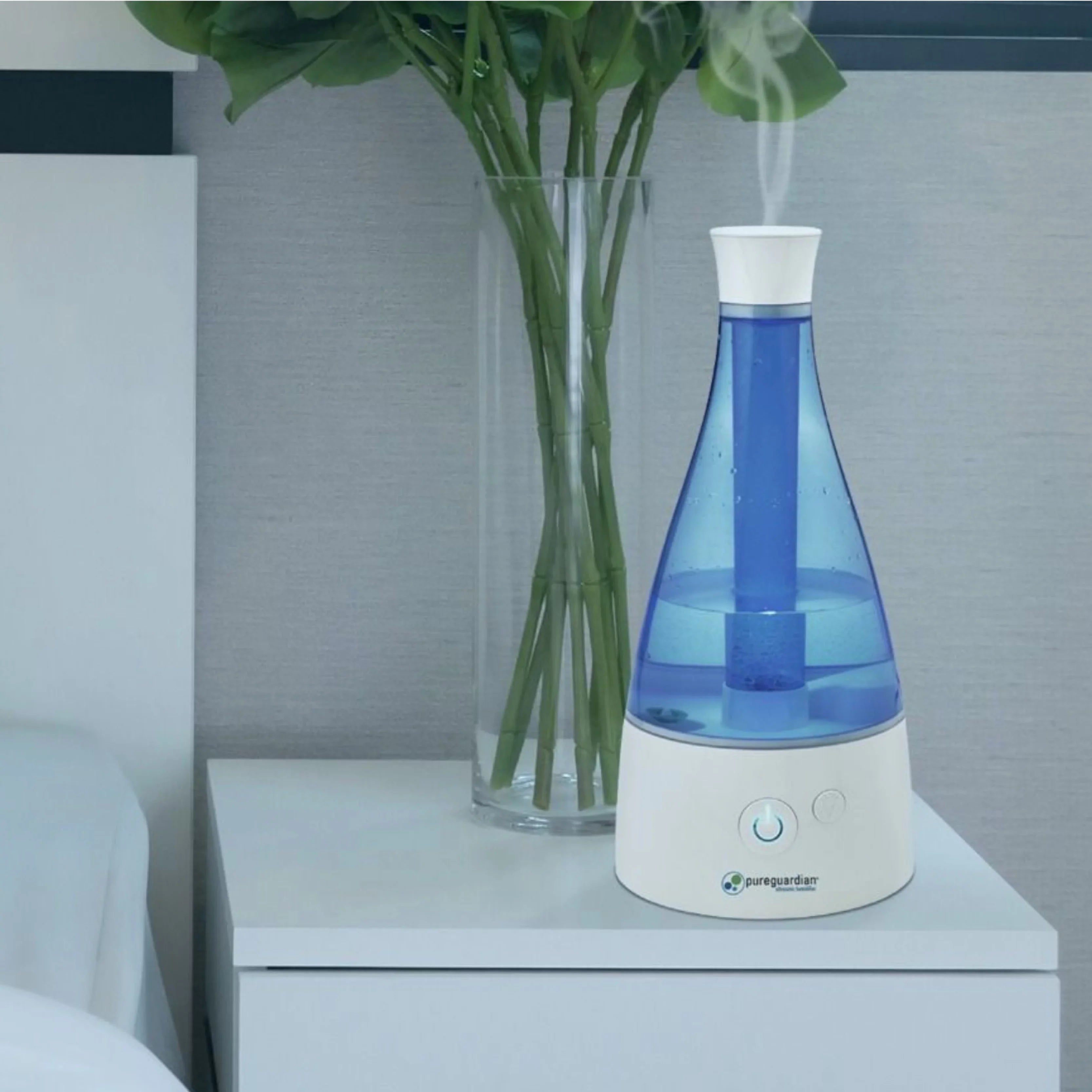 Humidifier Gallon, 0.5 PureGuardian Mist 30-Hour, Aromatherapy H940AR with Ultrasonic Tray, Cool