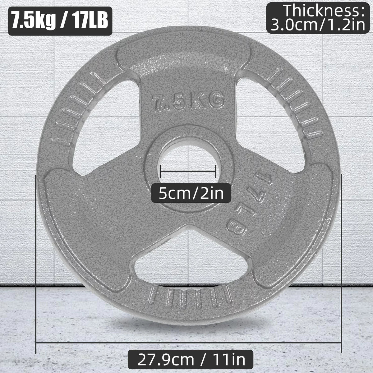 Weight 2 Iron and Olympic Pack or Standard for Olympic Strength Weightlifting, 17LB Cast Plate Training Plates,