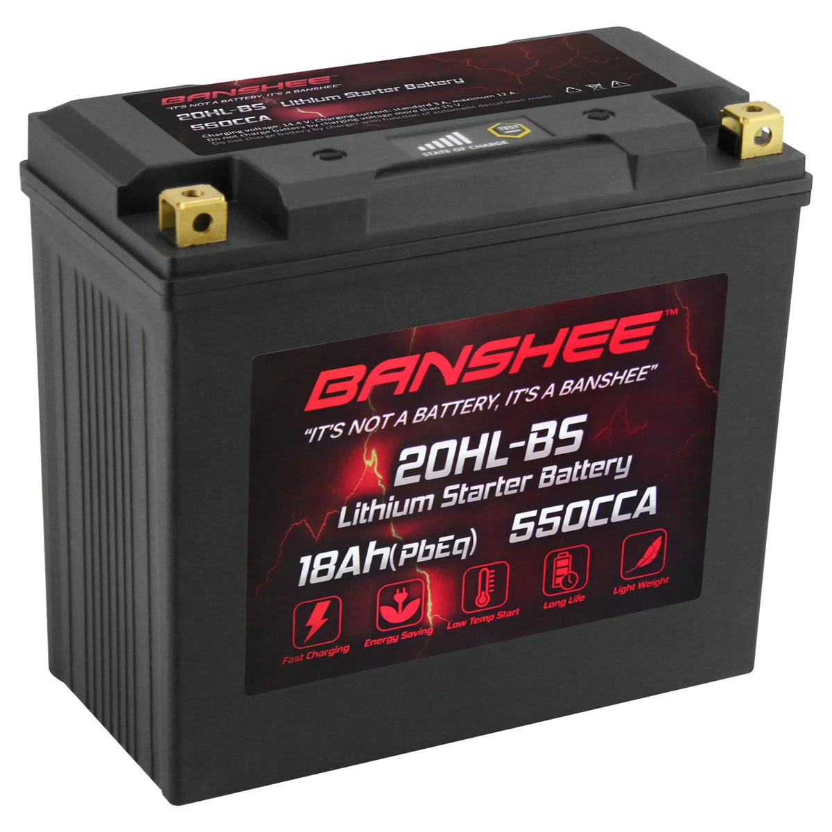 Victory Motorsports V92TC LiFePO4 to YTX20L-BS with 2002 Compatible Banshee Cruiser Deluxe Touring Battery 2002