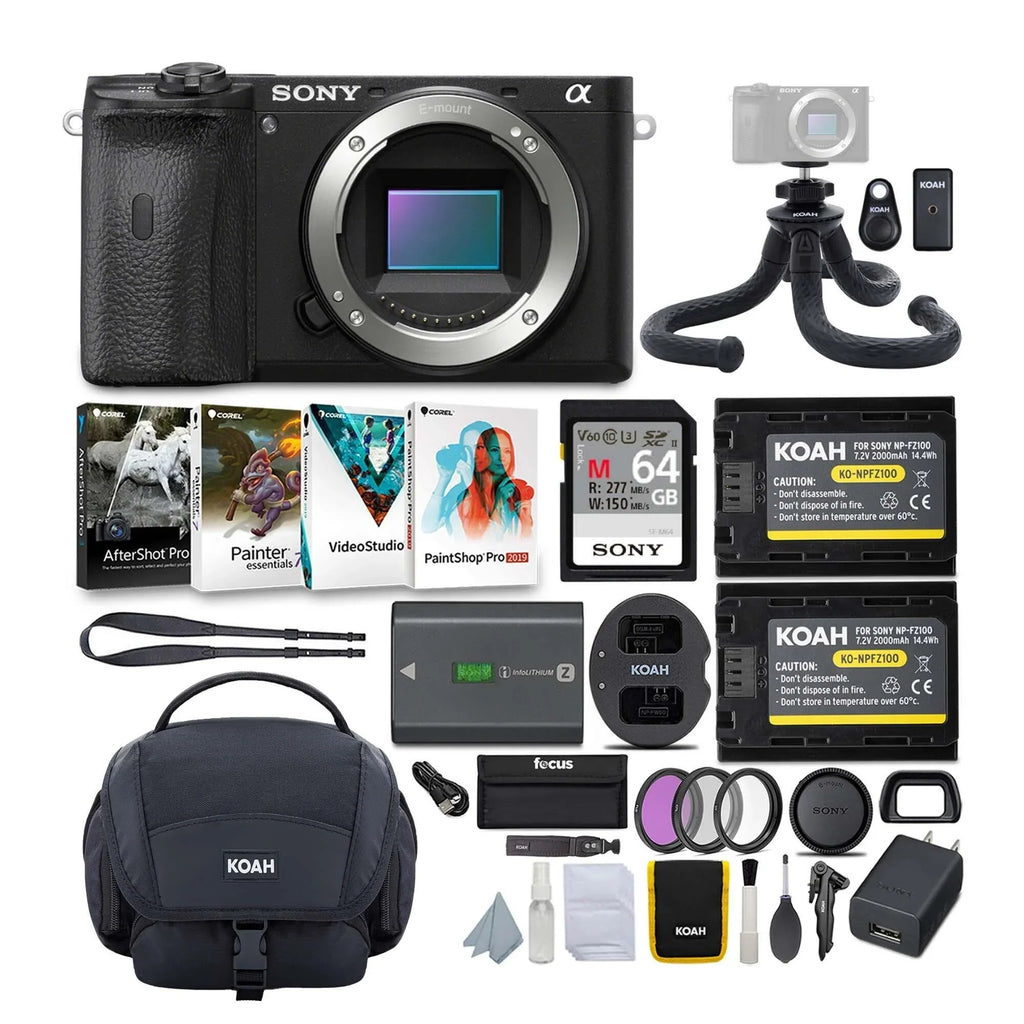 APS-C Mirrorless Sony a6600 Accessories Bundle (Body Only) Alpha with Camera