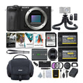APS-C Mirrorless Sony a6600 Accessories Bundle (Body Only) Alpha with Camera