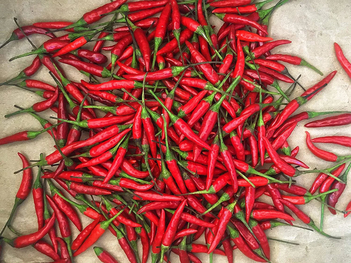 Thai Red oz) Chili (16 Fresh Peppers -1 Lb