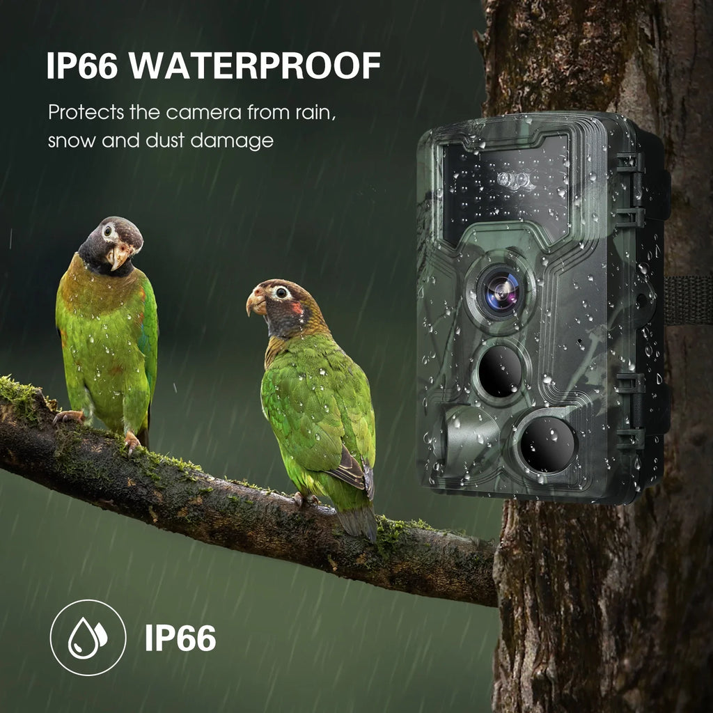 Vision Wildlife Waterproof 36MP Game Night Camera, Camera 1080P for Trail and Researching