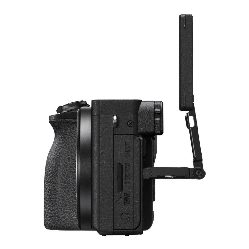 APS-C Mirrorless Sony a6600 Accessories Bundle (Body Only) Alpha with Camera