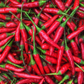 Thai Red oz) Chili (16 Fresh Peppers -1 Lb