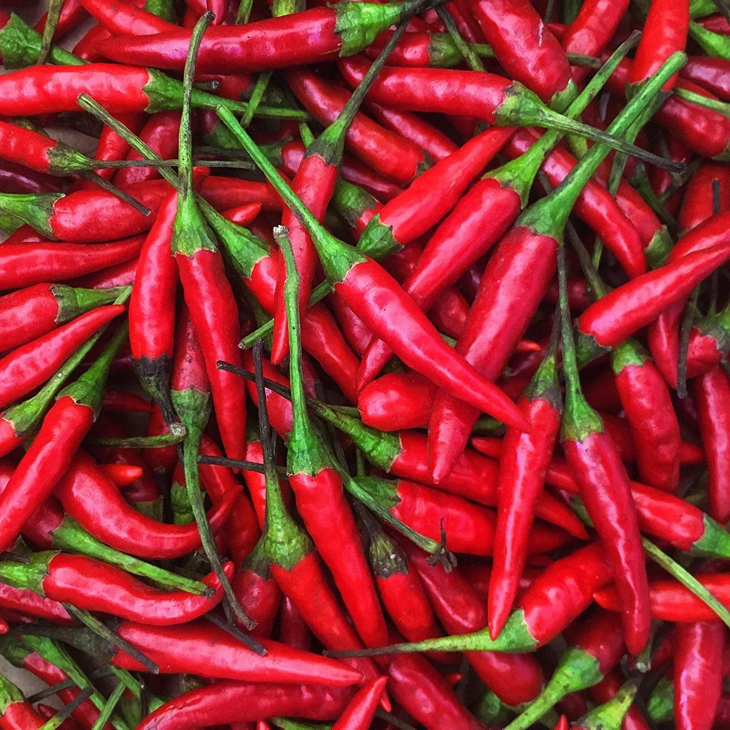 Thai Red oz) Chili (16 Fresh Peppers -1 Lb