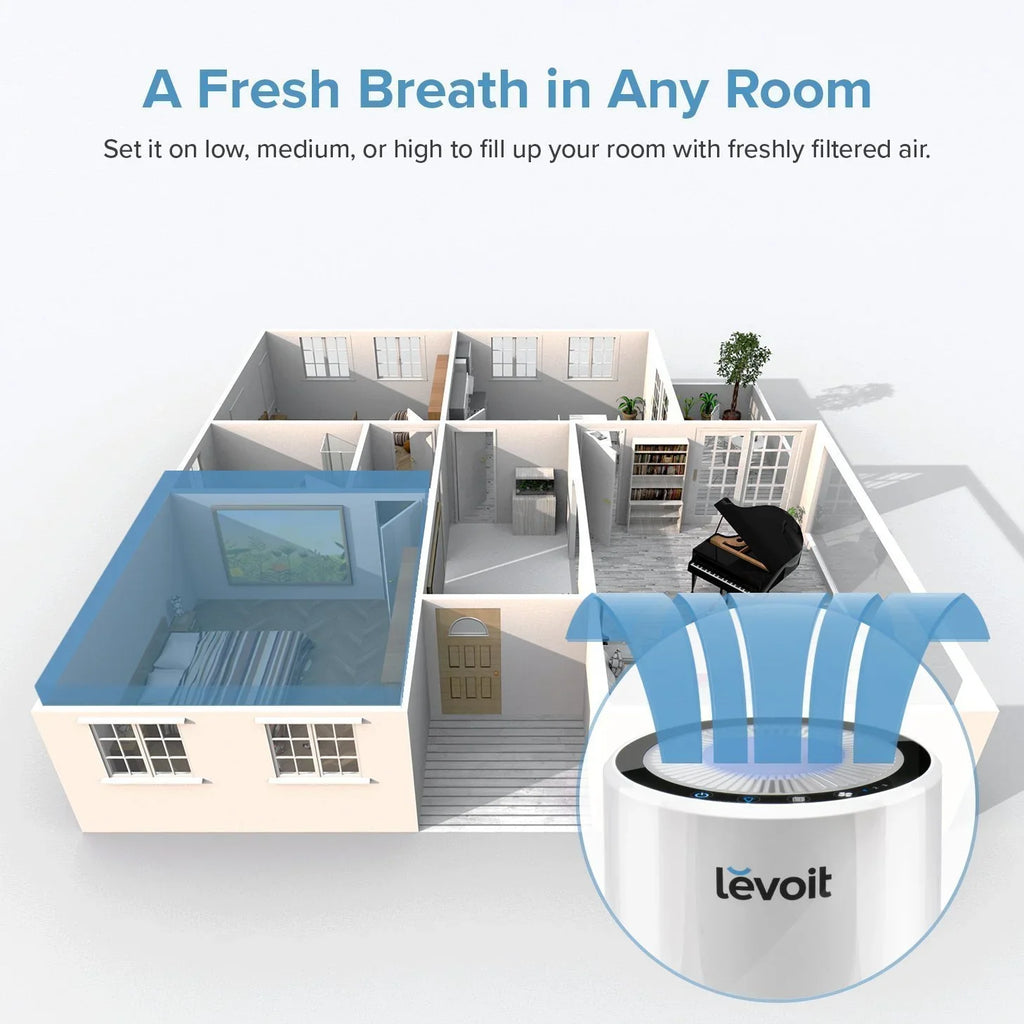 Filter with for LEVOIT Hepa Air More and Purifier LV-H132 Smoke, Bacteria, True