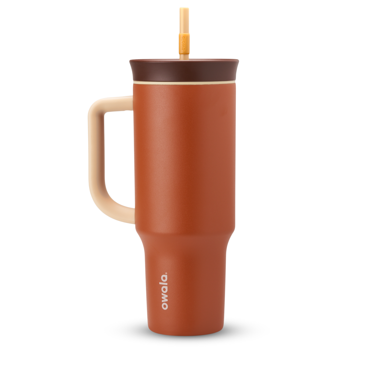 2-in-1 Bottle Brush